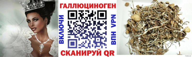 Псилоцибиновые грибы Magic Shrooms  Белово 